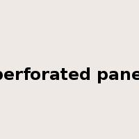 perforated panel是什么意思
