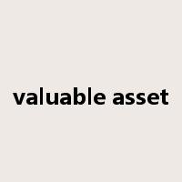 valuable asset是什么意思