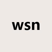 wsn是什么意思