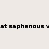 great saphenous vein是什么意思