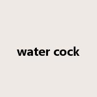 water cock是什么意思