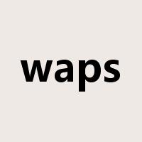 waps是什么意思