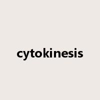 cytokinesis是什么意思
