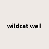 wildcat well是什么意思