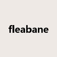fleabane是什么意思