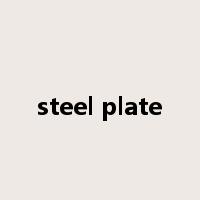 steel plate是什么意思