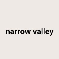 narrow valley是什么意思