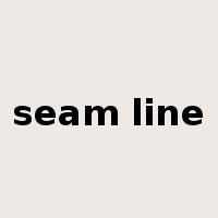 seam line是什么意思