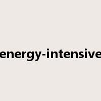 energy-intensive是什么意思