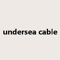 undersea cable是什么意思