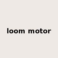 loom motor是什么意思