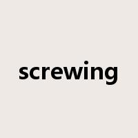screwing是什么意思