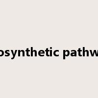 biosynthetic pathway是什么意思