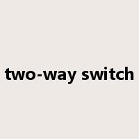two-way switch是什么意思