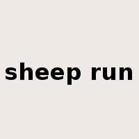sheep run是什么意思