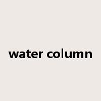 water column是什么意思