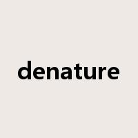 denature是什么意思