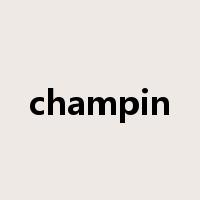 champin是什么意思