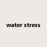 water stress是什么意思
