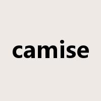 camise是什么意思