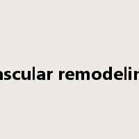 vascular remodeling是什么意思
