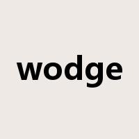 wodge是什么意思