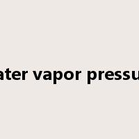 water vapor pressure是什么意思