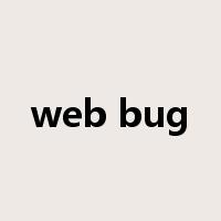 web bug是什么意思