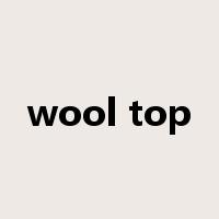 wool top是什么意思