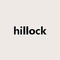 hillock是什么意思