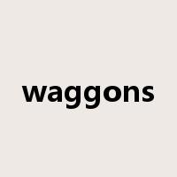 waggons是什么意思