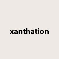 xanthation是什么意思