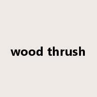 wood thrush是什么意思