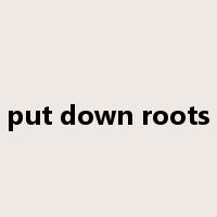 put down roots是什么意思