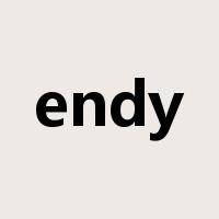 endy是什么意思