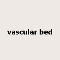 vascular bed是什么意思