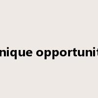 unique opportunity是什么意思