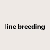 line breeding是什么意思