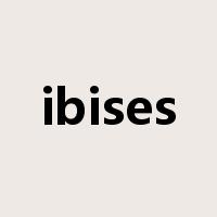 ibises是什么意思