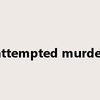 attempted murder是什么意思