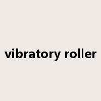 vibratory roller是什么意思