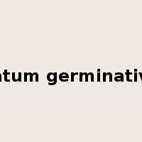 Stratum germinativum是什么意思