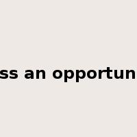 miss an opportunity是什么意思