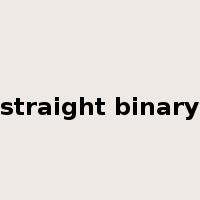 straight binary是什么意思