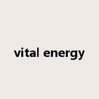 vital energy是什么意思