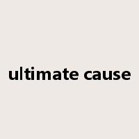 ultimate cause是什么意思