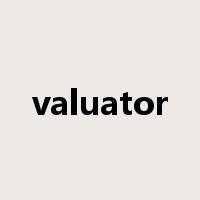 valuator是什么意思