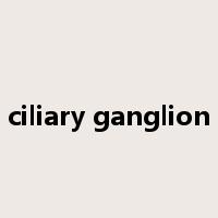 ciliary ganglion是什么意思