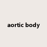 aortic body是什么意思