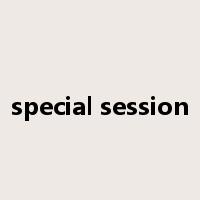 special session是什么意思